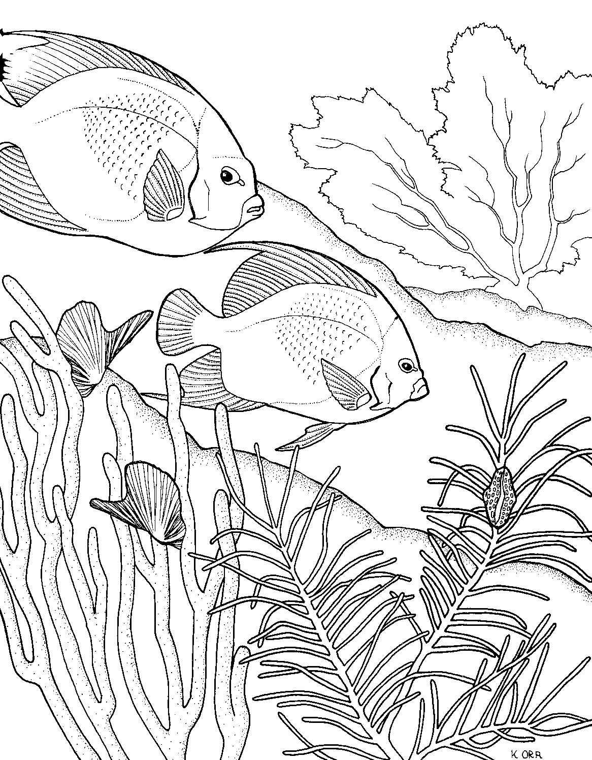Two fish swimming over a coral reef coloring page