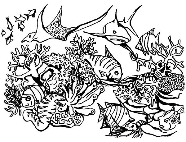 Coral reef with fish and a swordfish coloring page