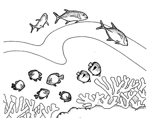 Coral reef with fish swimming above coloring page