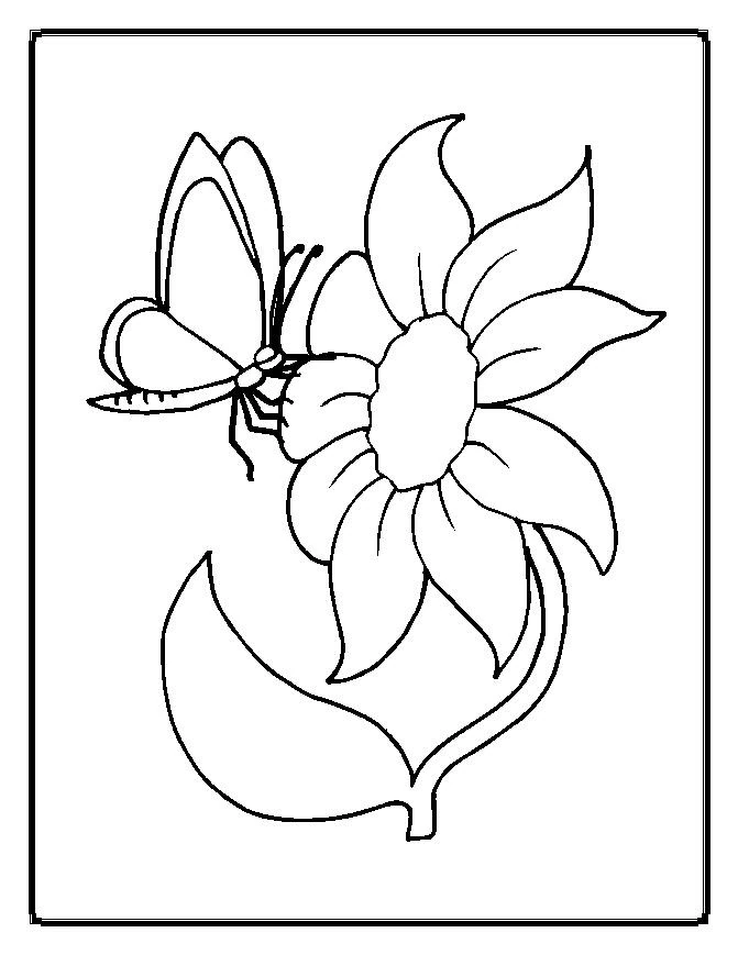 Butterfly resting on a large flower coloring page