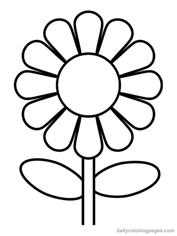 Simple daisy flower with round petals coloring page