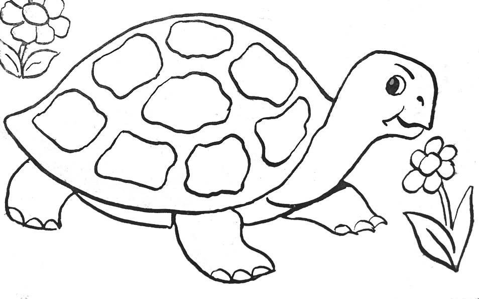 Turtle walking among flowers coloring page