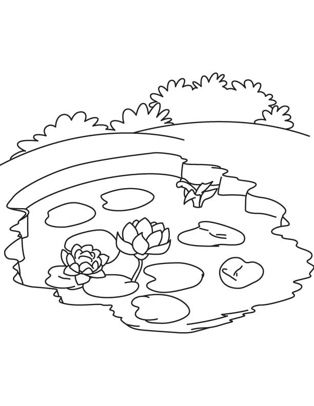 Pond with lily pads and flowers coloring page