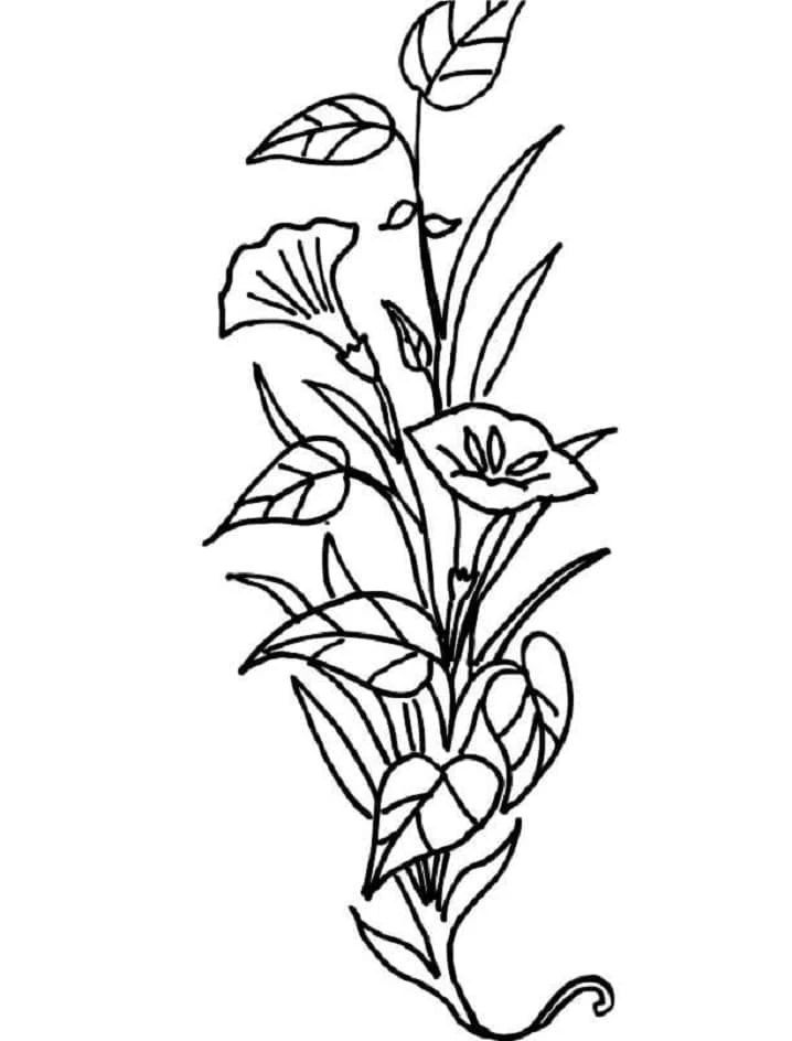 Lily-shaped flowers on a curved stem coloring page