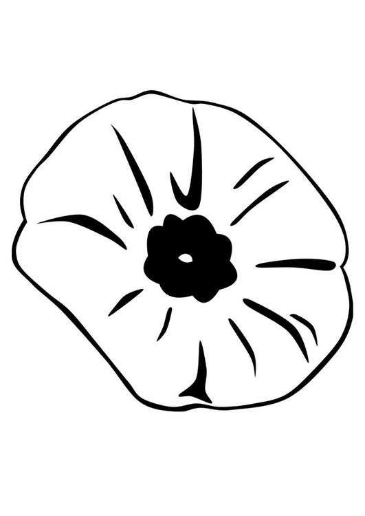 Poppy flower with round petals coloring page