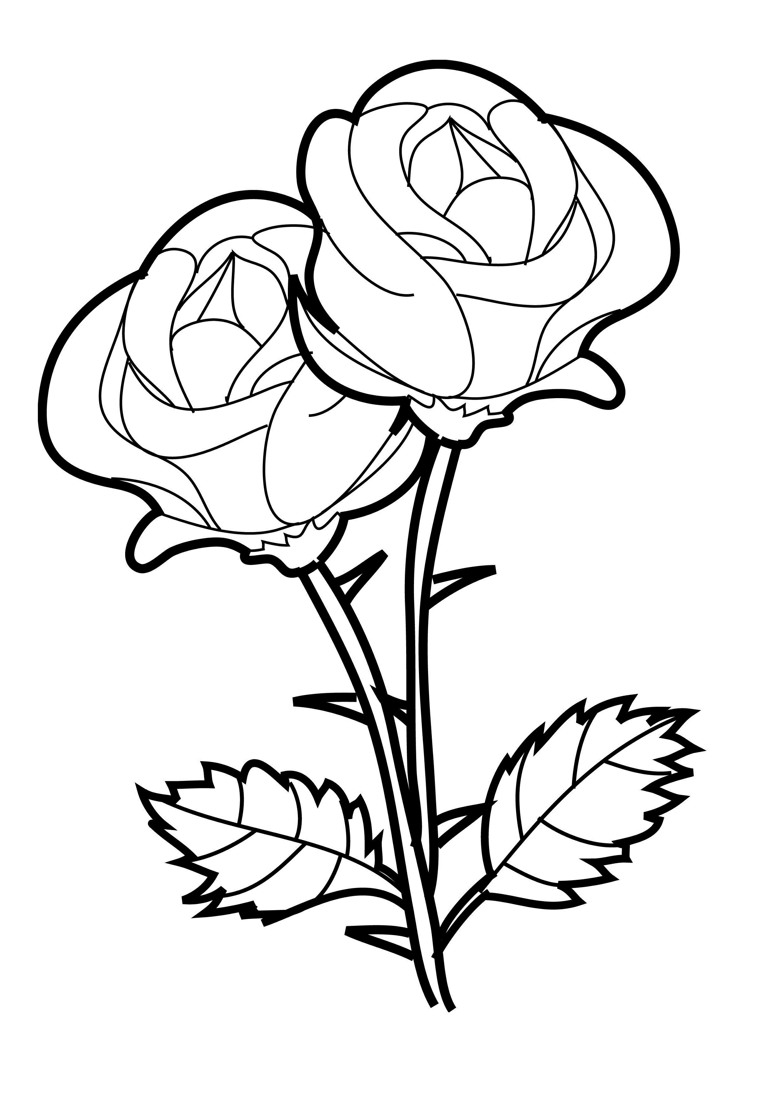 Two roses in full bloom coloring page