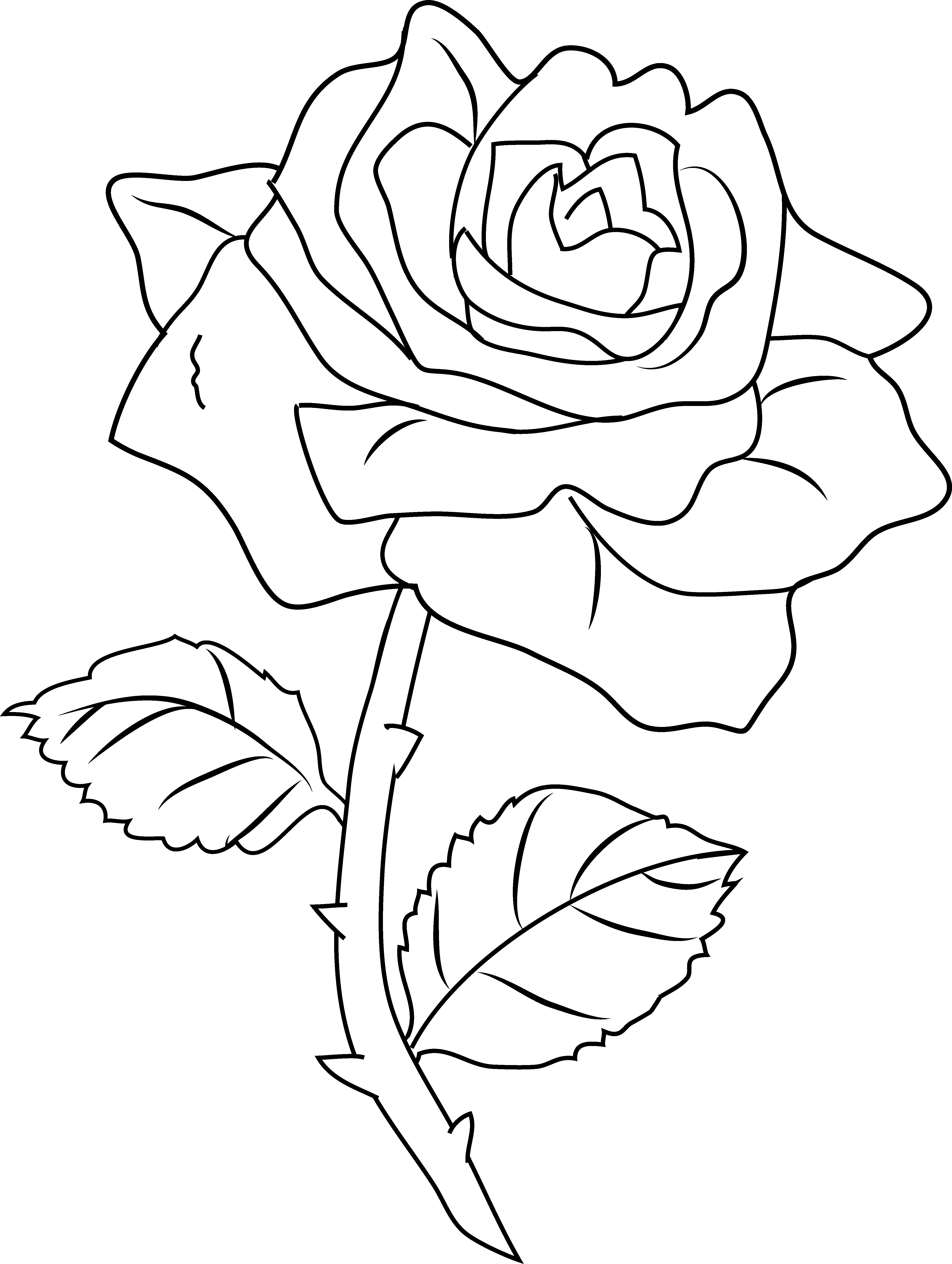 Single rose with thorny stem and two leaves coloring page Single rose with thorny stem and two leaves coloring page