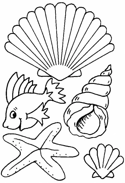 Shell collection with fish and starfish coloring page