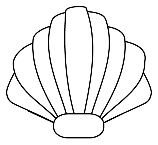 Shell with fan-shaped ridges coloring page