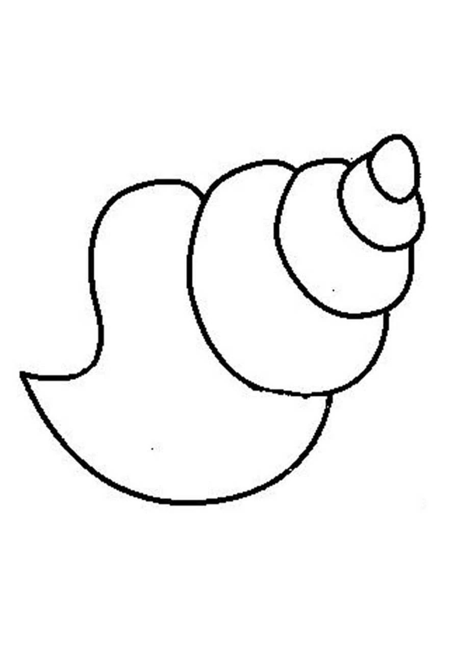 Spiral seashell shape coloring page
