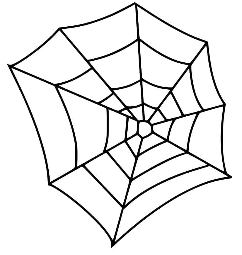 Simple spider web coloring page