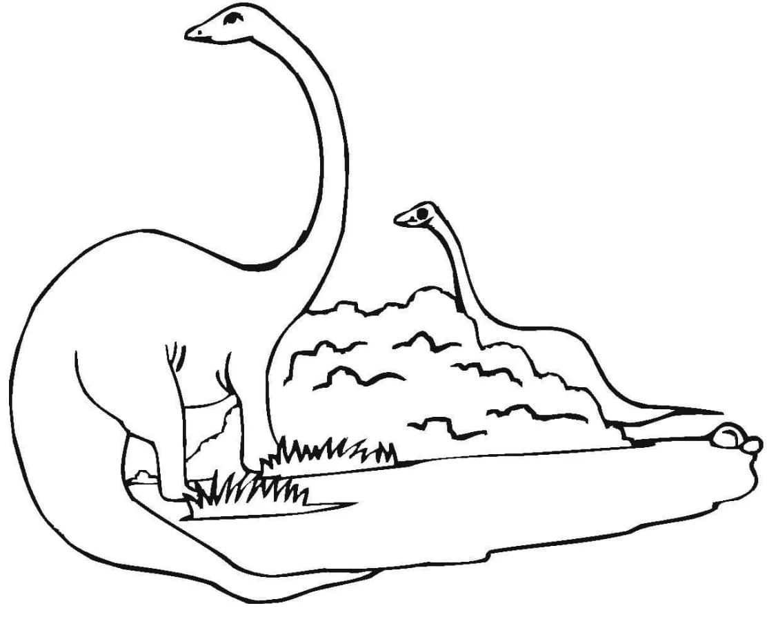 Free printable Diplodocus coloring picture #212463 in the Prehistoric Animals collection