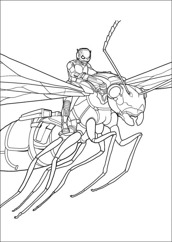 Ant-Man riding on a giant ant coloring page