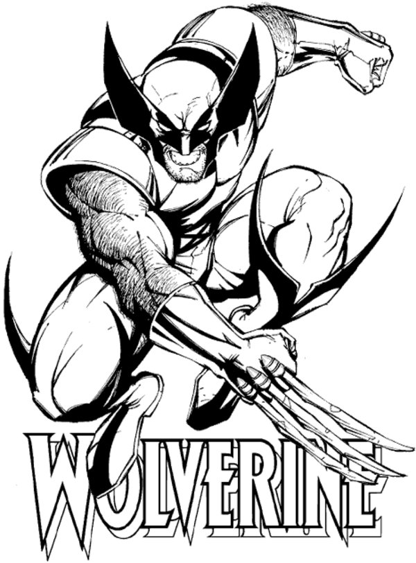Wolverine crouching with claws extended coloring page