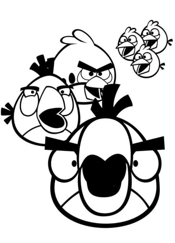 Angry Birds gathered together coloring page