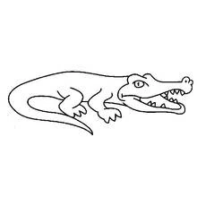 Alligator lying with mouth open coloring page