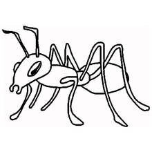 Ant walking sideways coloring page