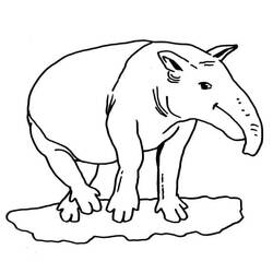 Anteater standing on a small mound coloring page