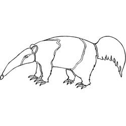 Anteater walking with long snout and bushy tail coloring page