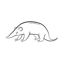 Anteater walking with long snout coloring page