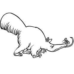 Anteater watching a small insect coloring page