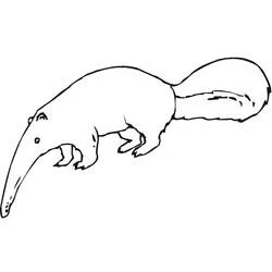 Anteater walking with a long snout coloring page
