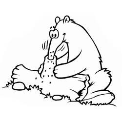 Anteater eating from a termite mound coloring page