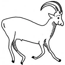 Sable antelope walking coloring page