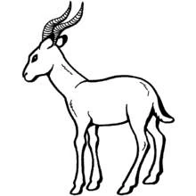 Antelope standing in profile coloring page