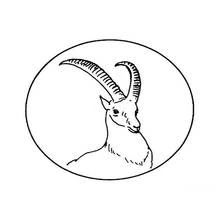 Antelope head with long curved horns in an oval coloring page