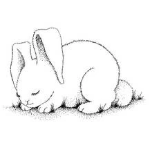Sleeping bunny curled up in grass coloring page