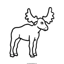 Antelope standing with large antlers coloring page