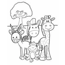 Antelope with zebra, giraffe and monkey coloring page