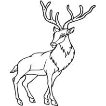 Antelope with large branching antlers coloring page