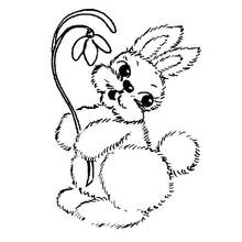 Bunny holding a flower coloring page