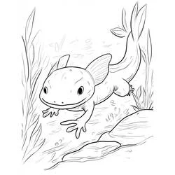 Axolotl swimming near underwater plants coloring page