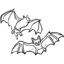 Bat pair flying with wings spread coloring page