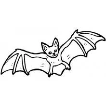 Bat flying with wings spread wide coloring page