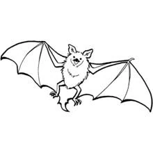 Bat - Free printable coloring pages