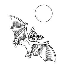Bat flying under the full moon coloring page