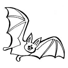 Bat flying with wings spread coloring page