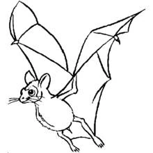 Bat flying with wings spread coloring page