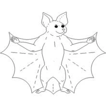 Bat with wings spread wide coloring page