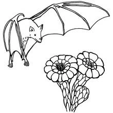 Bat flying above two flowers coloring page