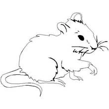 Mouse sitting with raised paw coloring page