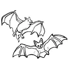 Pair of bats flying coloring page