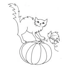 Halloween cat standing on a pumpkin coloring page