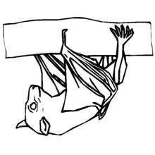 Bat hanging upside down from a branch coloring page