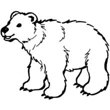 Bear walking forward coloring page