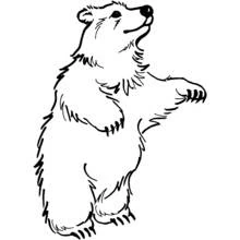 Bear standing on hind legs coloring page